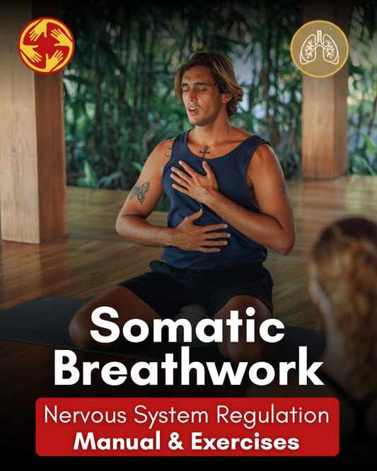 Nervous System Regulation Manual